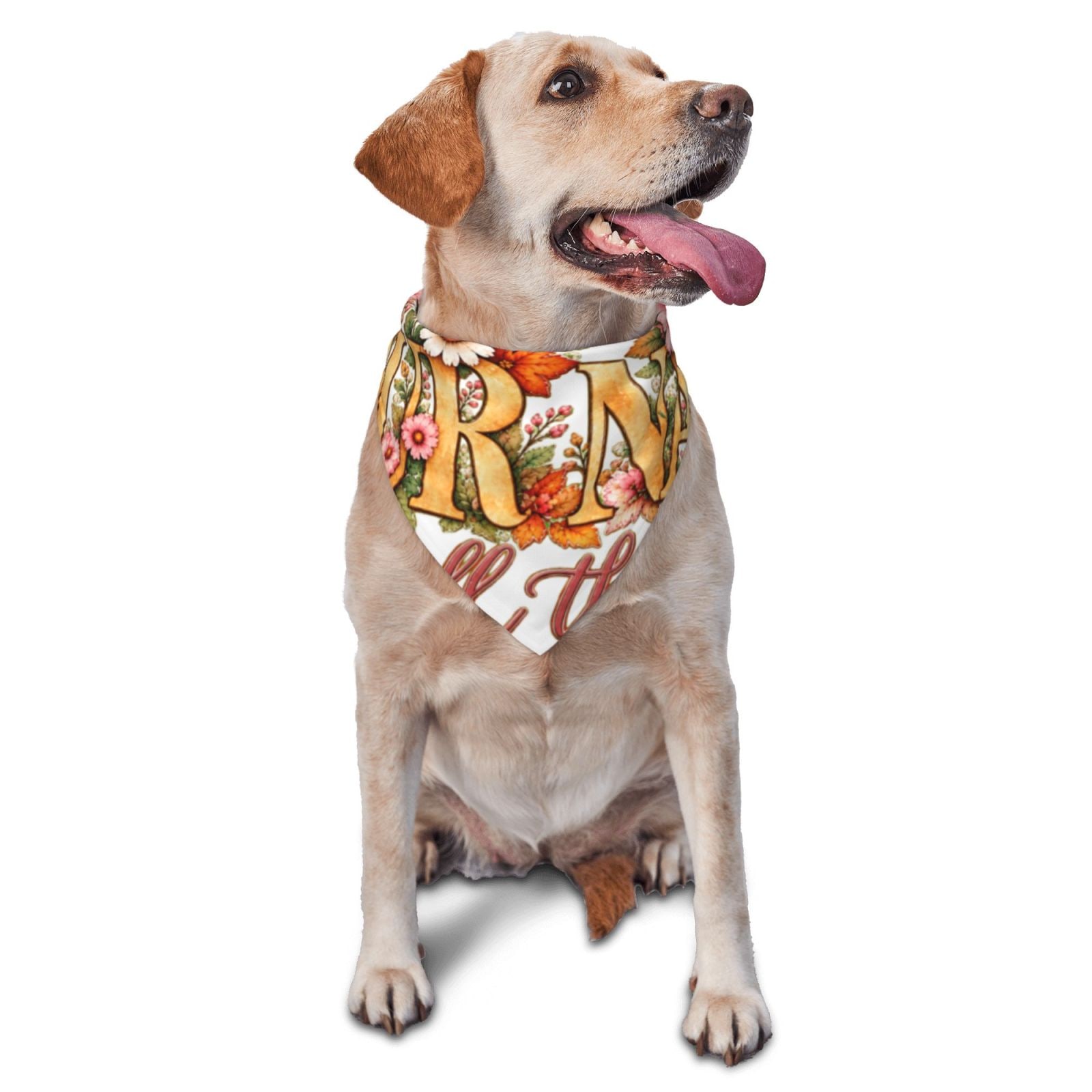 Thanksgiving Floral Portrait Pet Scarf