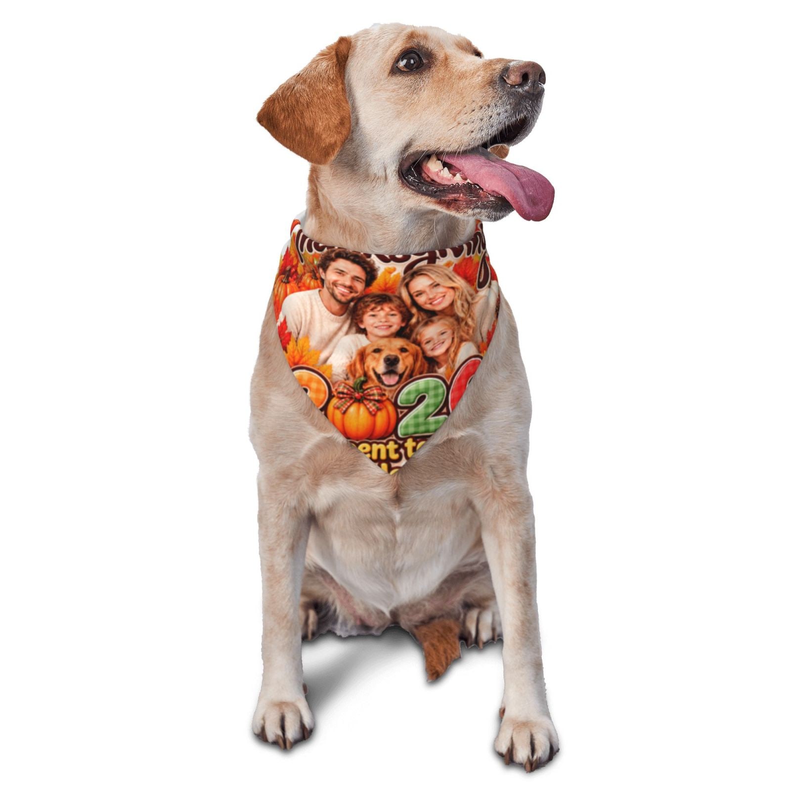 Thanksgiving Family Blessing Pet Scarf