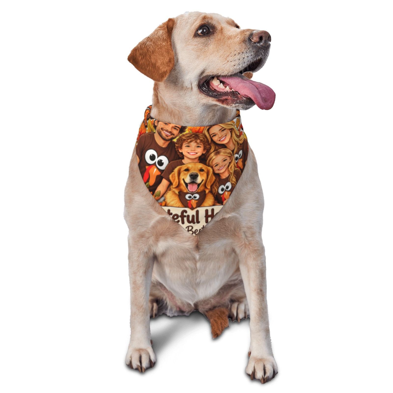 Thanksgiving Family Joy Pet Scarf