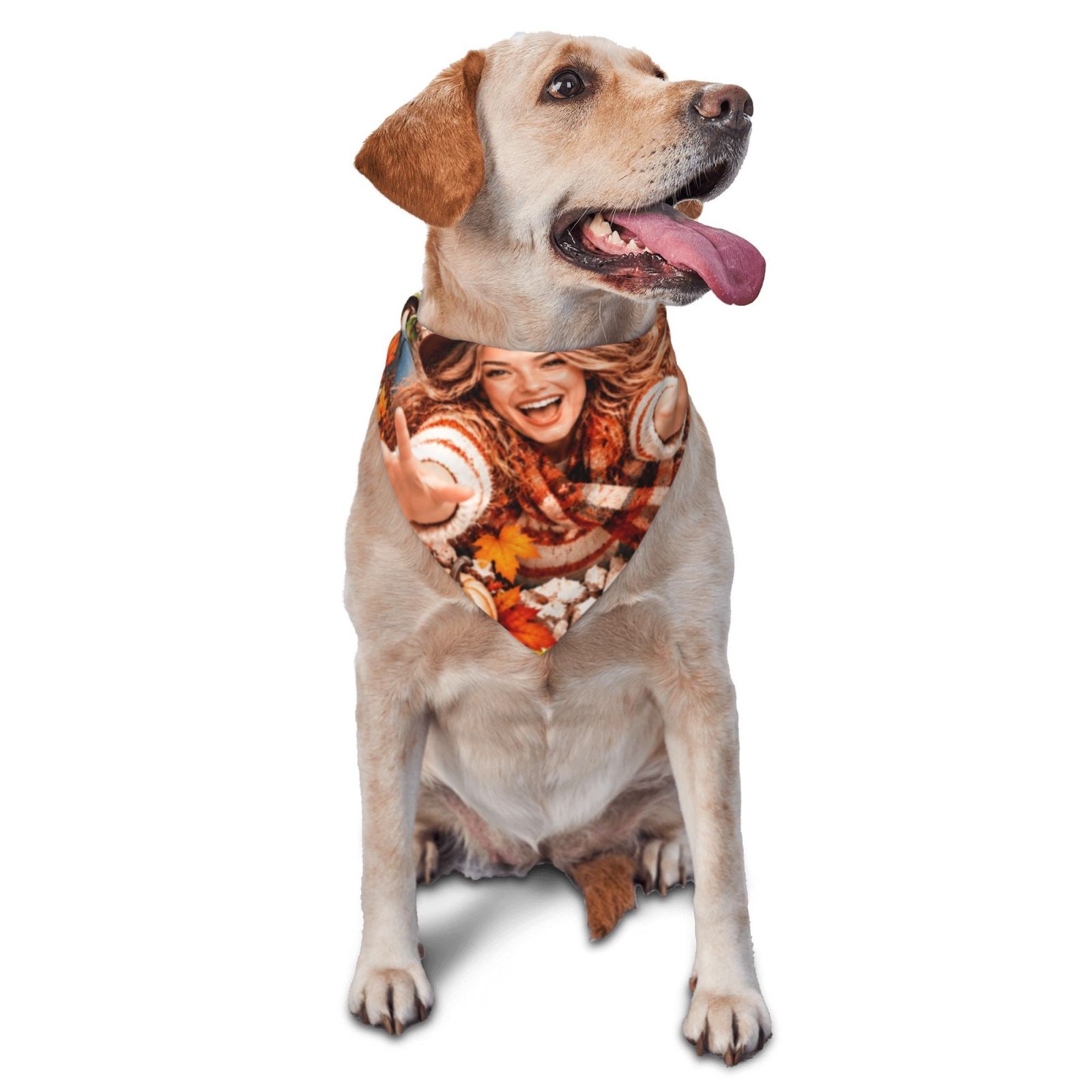 Thanksgiving Joy Burst Pet Scarf