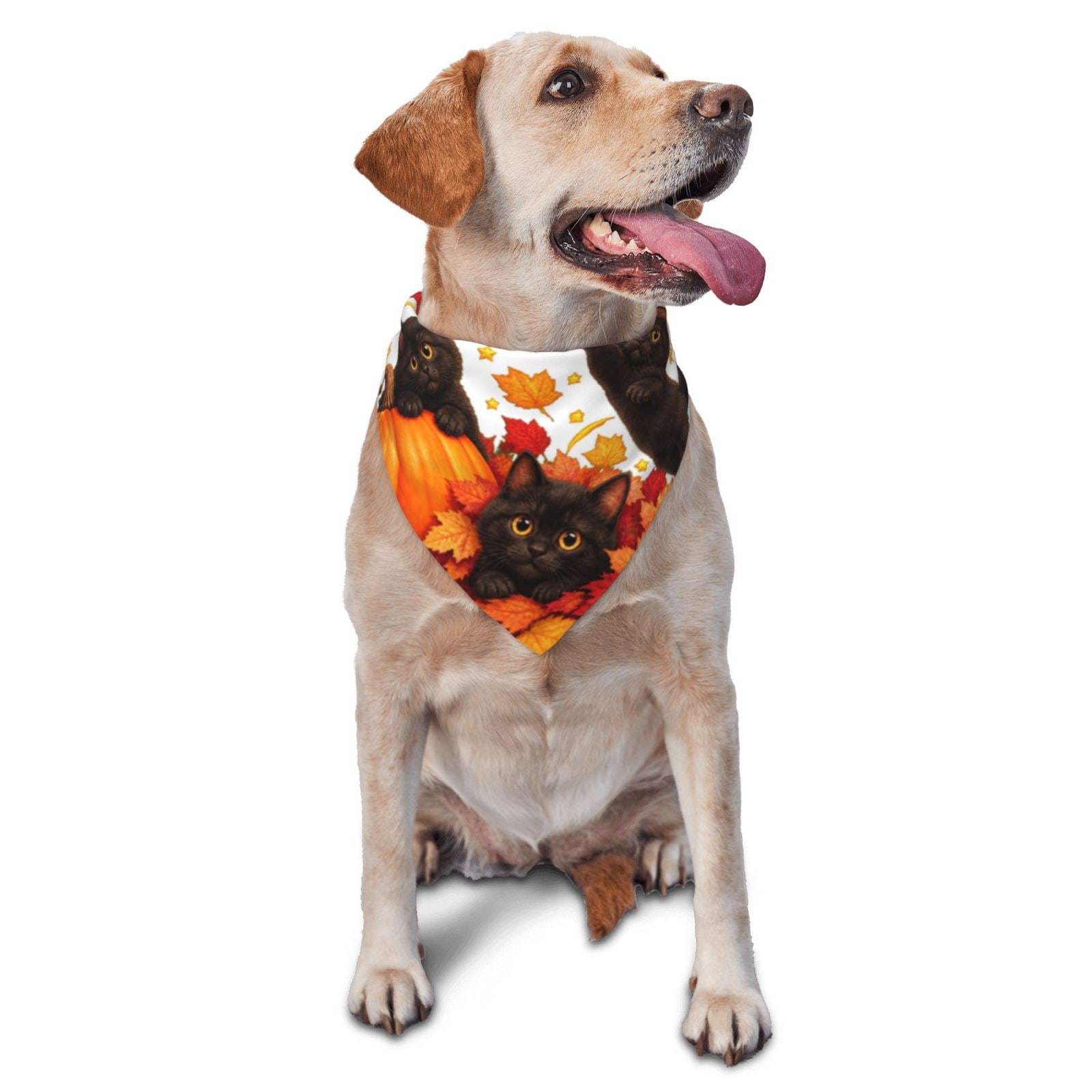 Thanksgiving Autumn Whimsy Pet Scarf